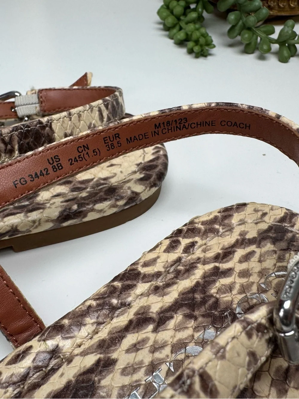 Coach Jasmin Women's Snake Print Thong Sandals, Size 38.5
